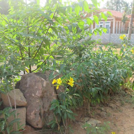 Bamboo Garden Resort Фукуок Екстер'єр фото