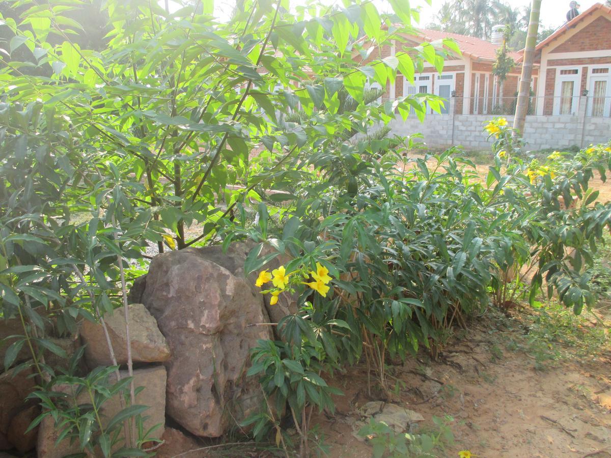 Bamboo Garden Resort Фукуок Екстер'єр фото